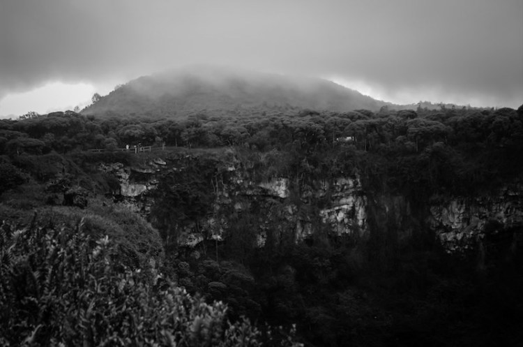 Ecuadorian rain forests
